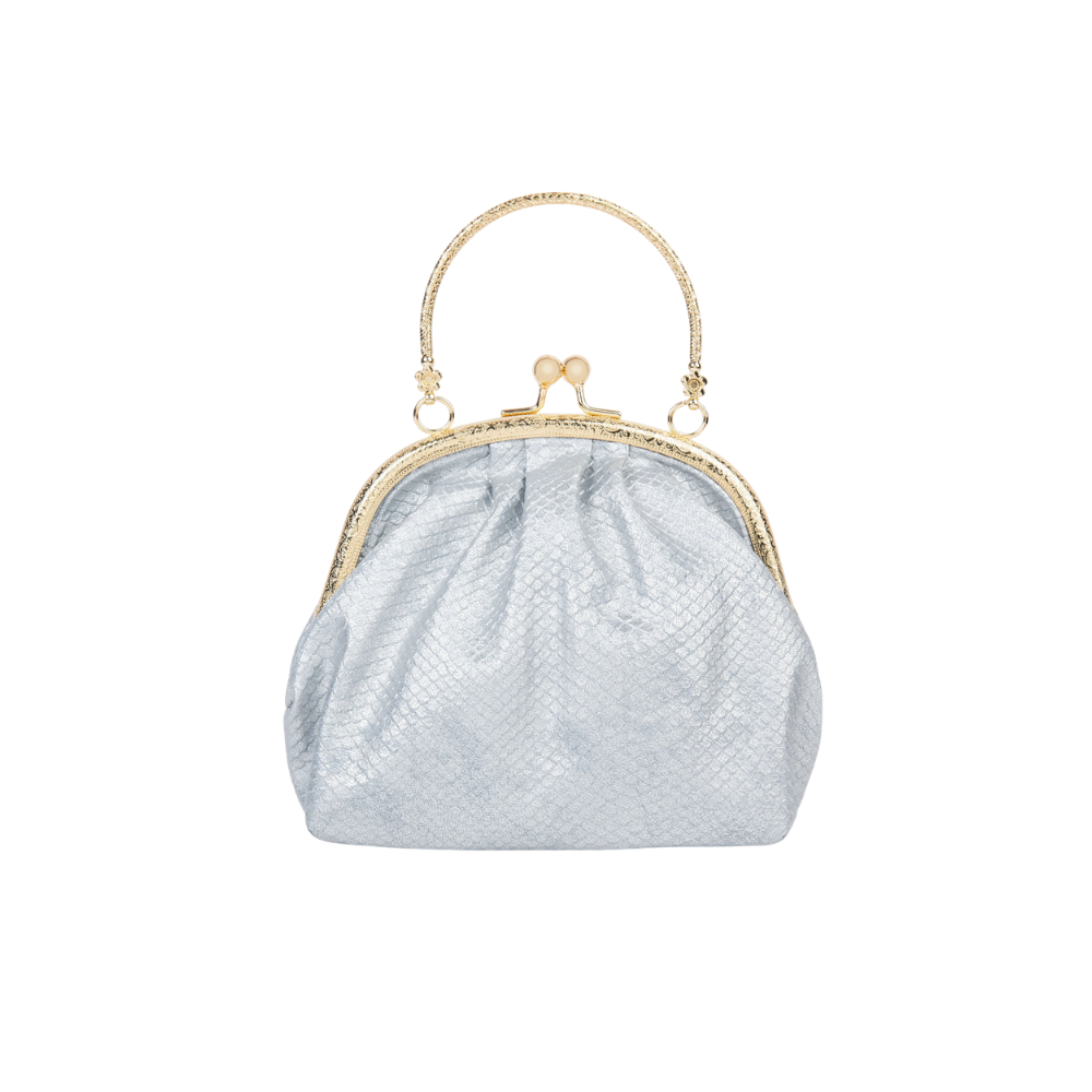 Silver Frame Clutch